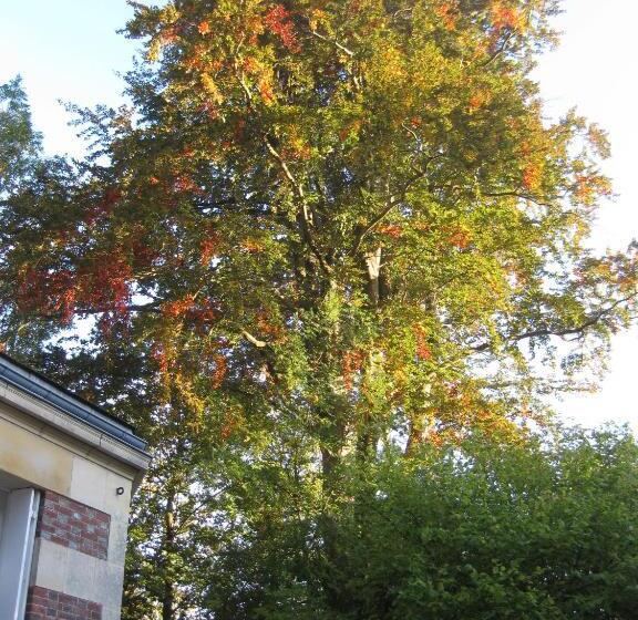 مبيت وإفطار Château De Launay