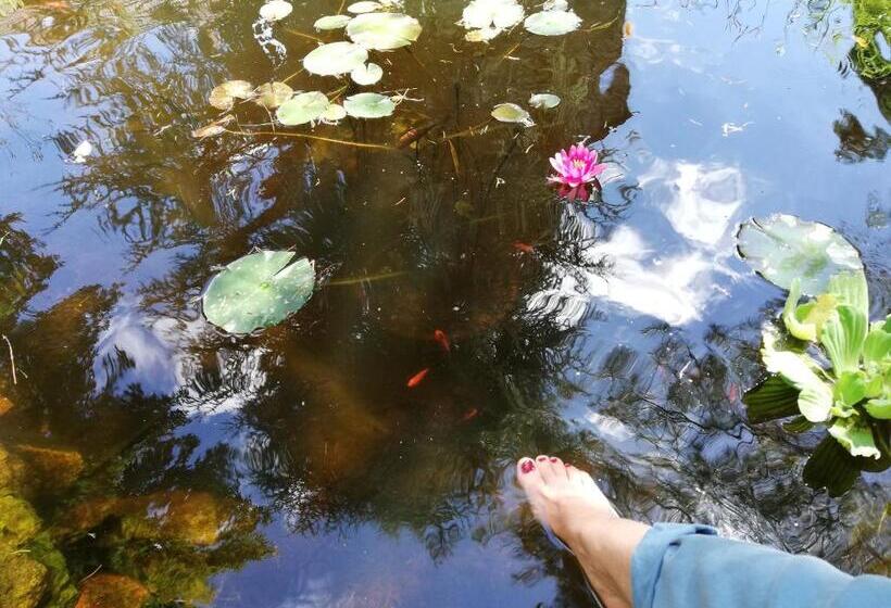 민박 Moulin De Schwabwiller