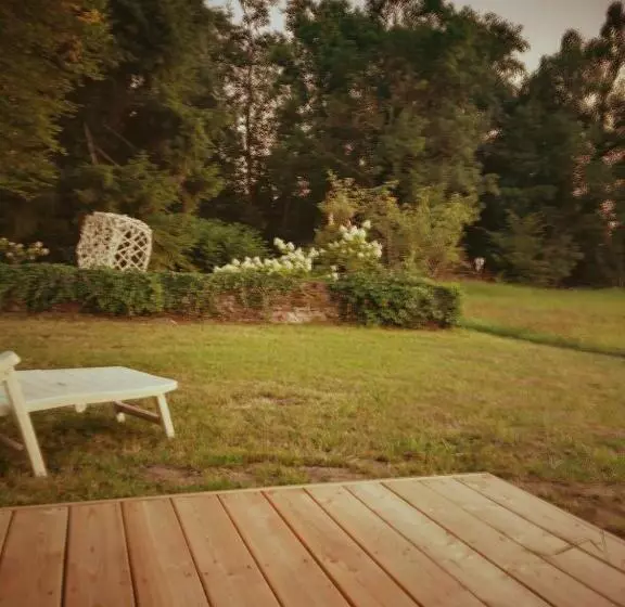 ベッドアンドブレックファースト Moulin De Schwabwiller