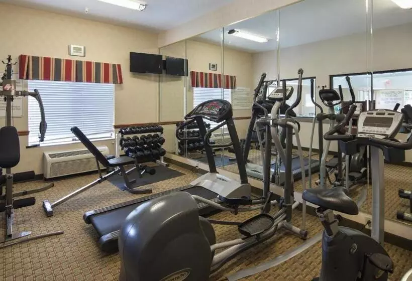 ホテル Best Western Executive Inn   Latta