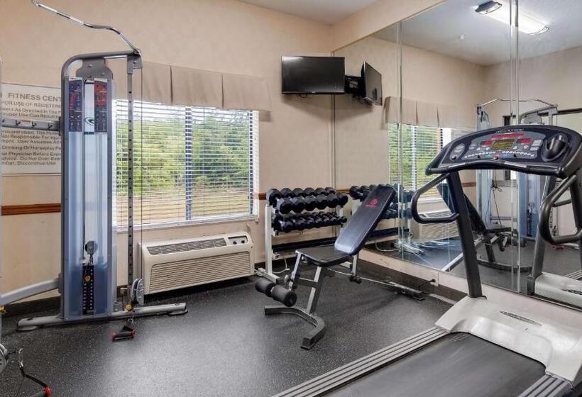 Отель Best Western Executive Inn   Latta