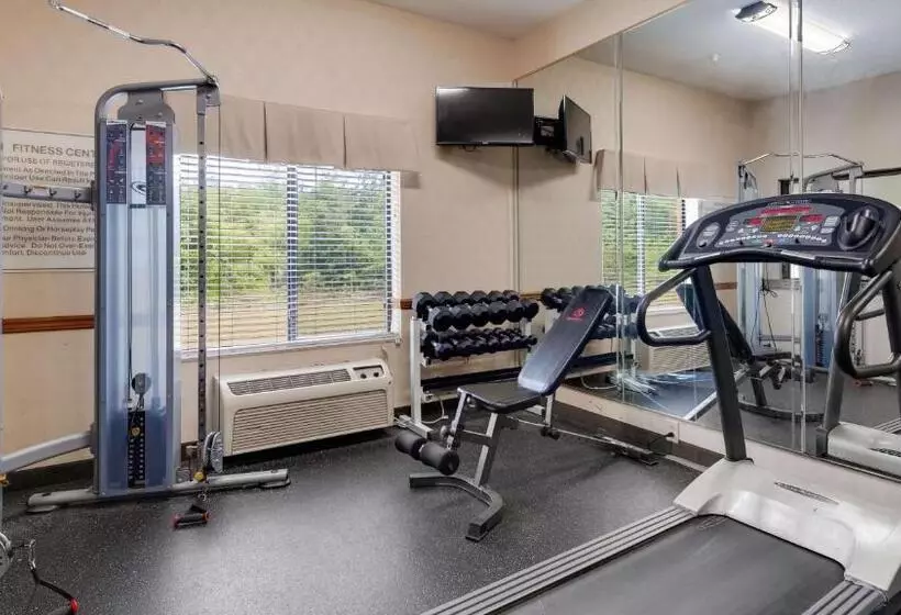 ホテル Best Western Executive Inn   Latta