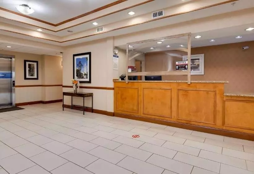 ホテル Best Western Executive Inn   Latta