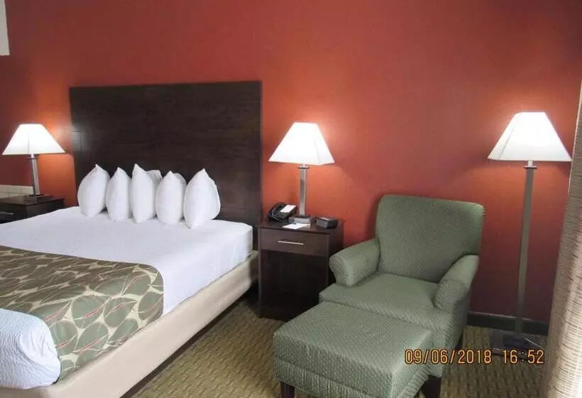 ホテル Best Western Executive Inn   Latta