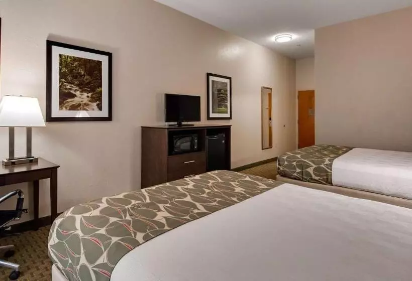 ホテル Best Western Executive Inn   Latta