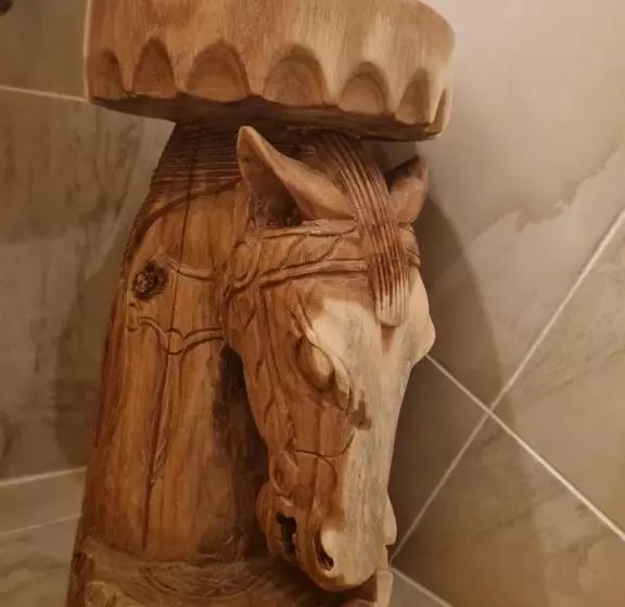 Hotelli Burg Plankenstein