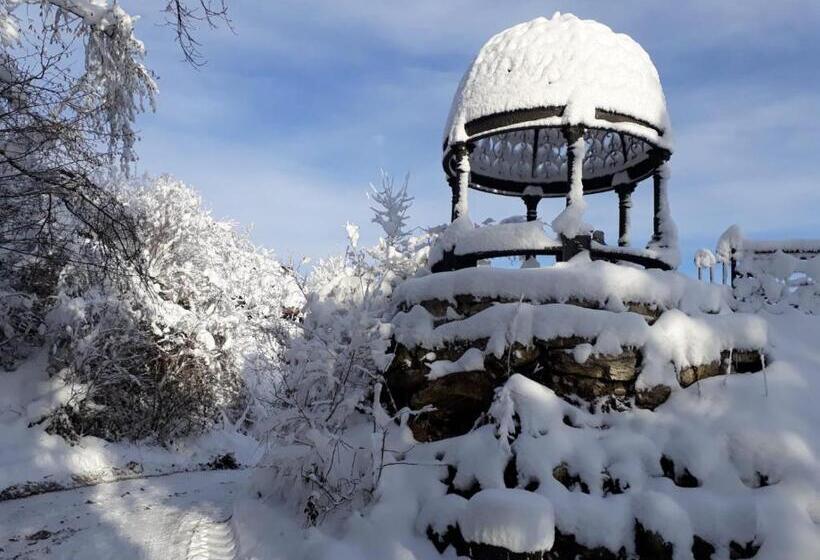 Отель Burg Plankenstein