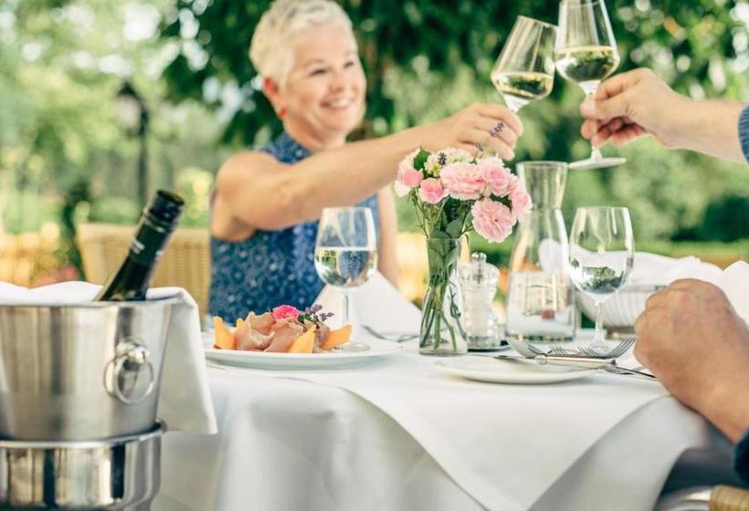 Отель Dienstl Gut