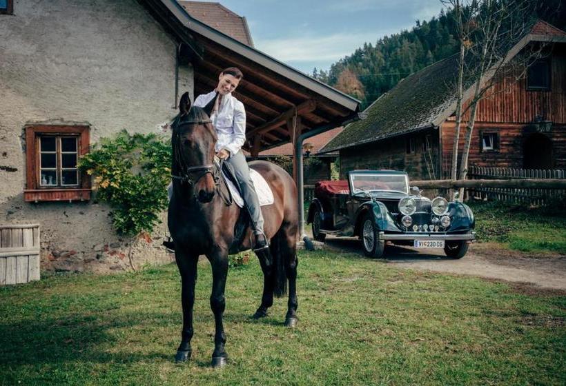 Отель Dienstl Gut