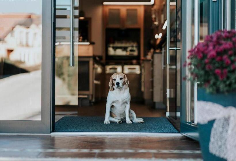 호텔 Friesacherhof