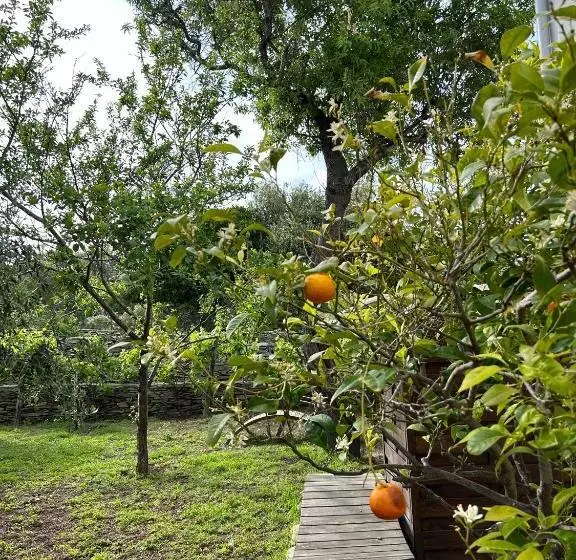 Hotelli Hôtel Restaurant Petra Cinta