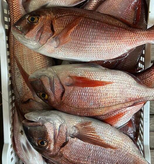 酒店 Hôtel Restaurant Petra Cinta