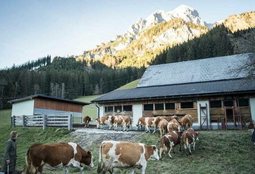 Отель Huberbauer