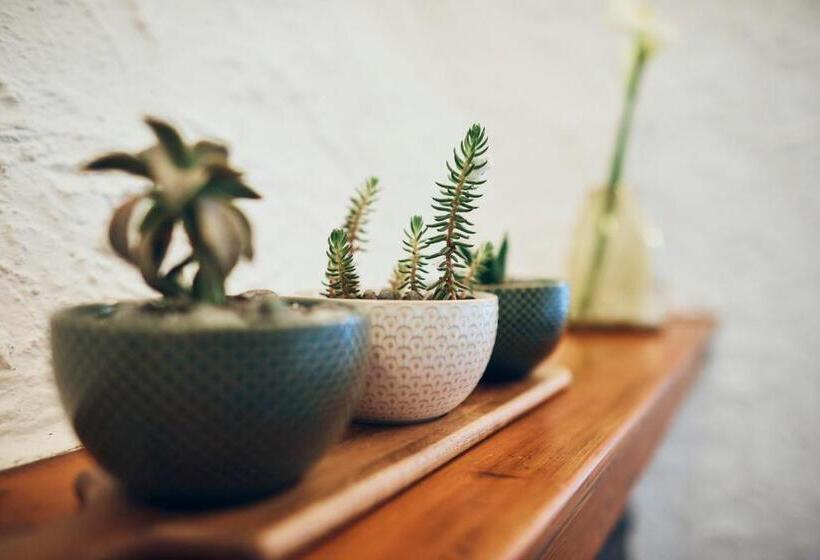 Отель Il Magan  Cinque Terre