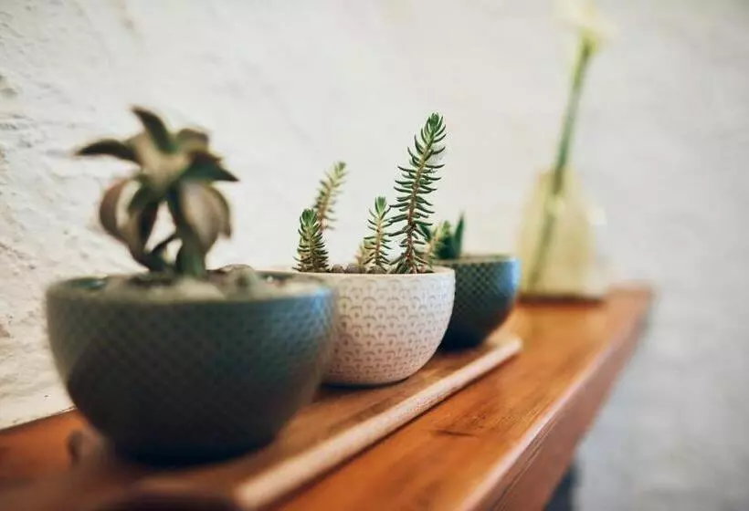 Hotelli Il Magan  Cinque Terre