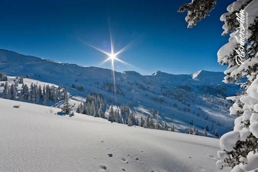 فندق Sportpension Reiter