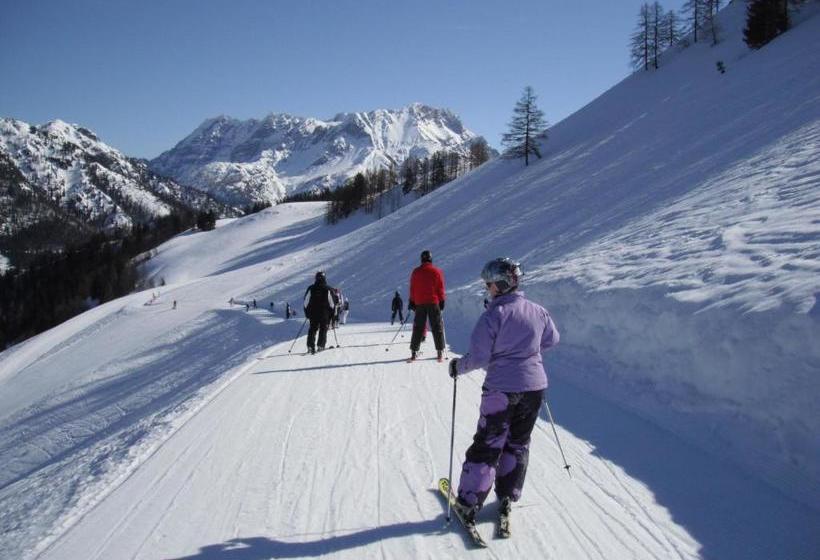 Пансион Haus Niedermoser