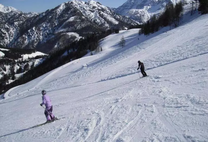 ペンション Haus Niedermoser