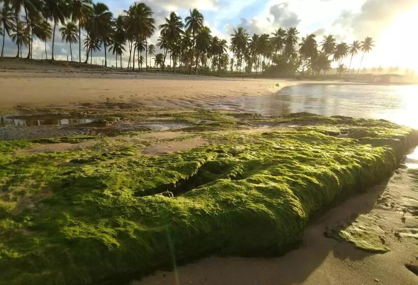 ペンション Pousada Recanto Lagoa Azul