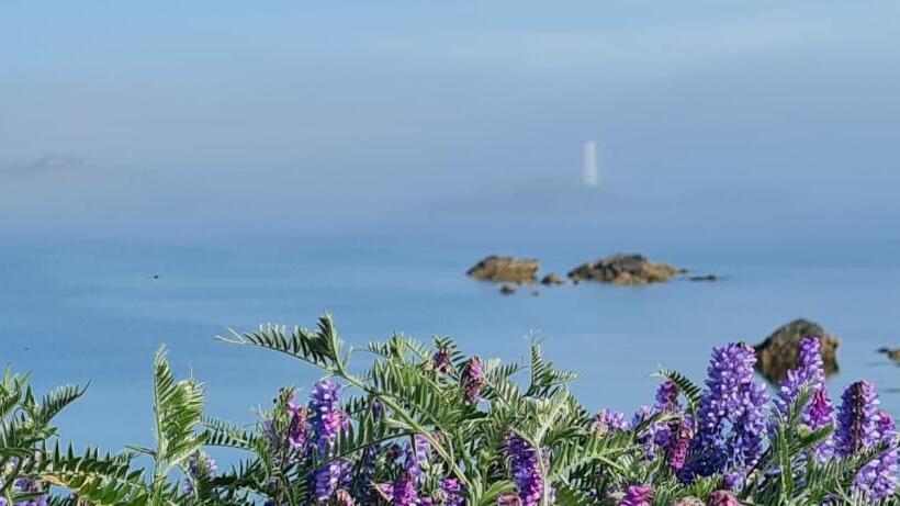 Doonmore Hotel, Bar & Restaurant