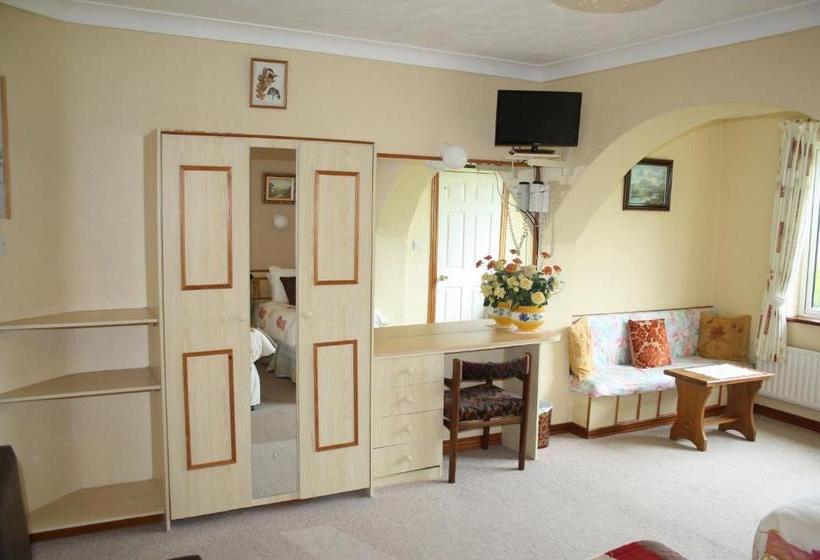 فندق Corrib Wave Guest House