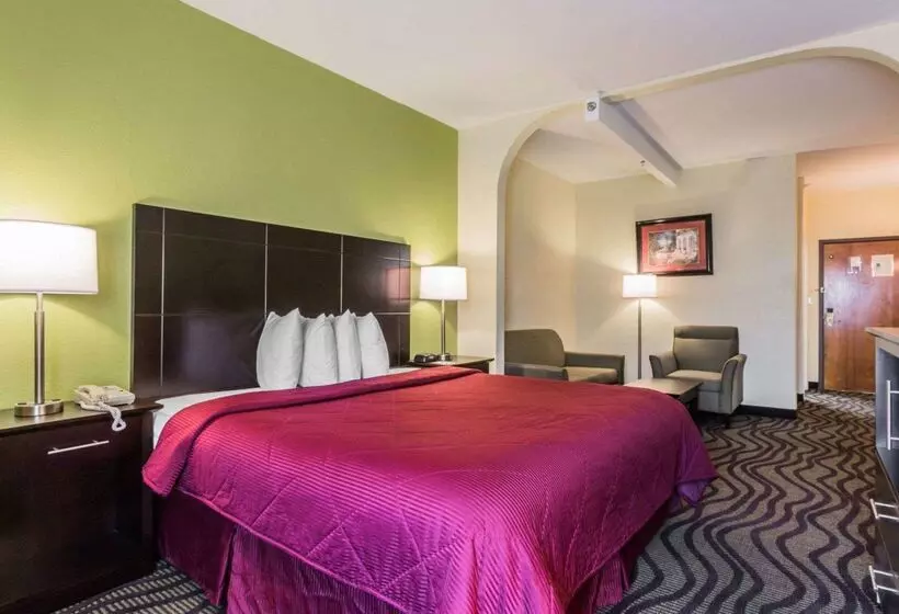 هتل Quality Inn & Suites Near Coliseum And Hwy 231 North
