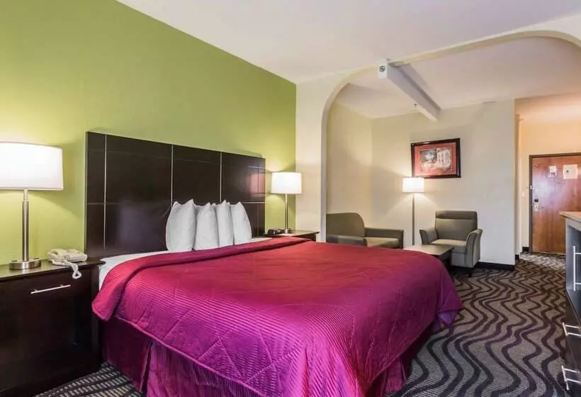 هتل Quality Inn & Suites Near Coliseum And Hwy 231 North