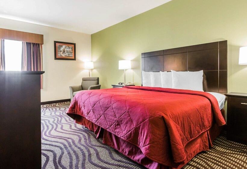 Otel Quality Inn & Suites Near Coliseum And Hwy 231 North