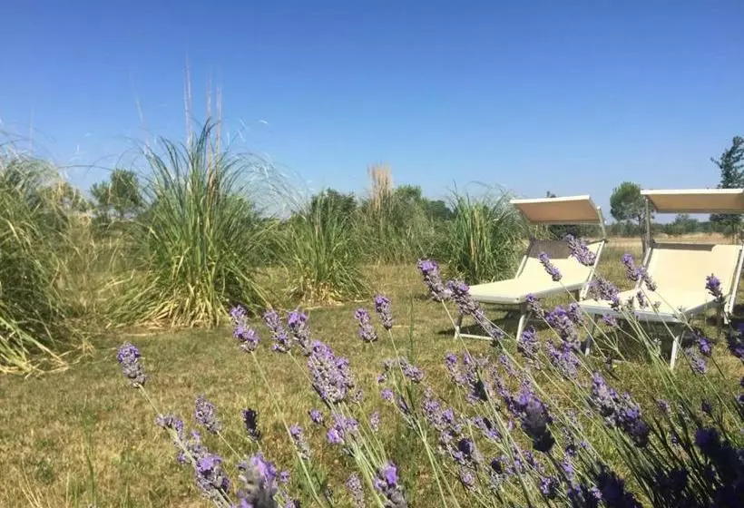 ベッドアンドブレックファースト Agriturismo Tre Di Spade