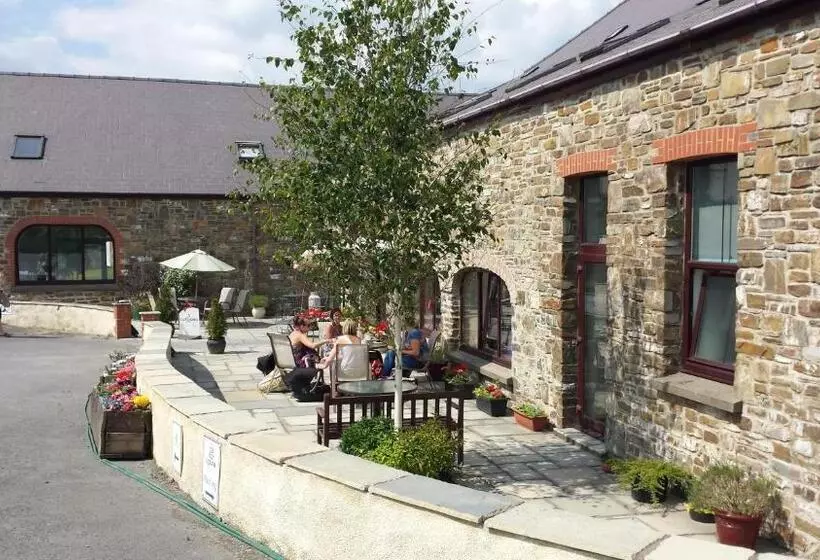 Aamiaismajoitus (B&B) Llety Cynin