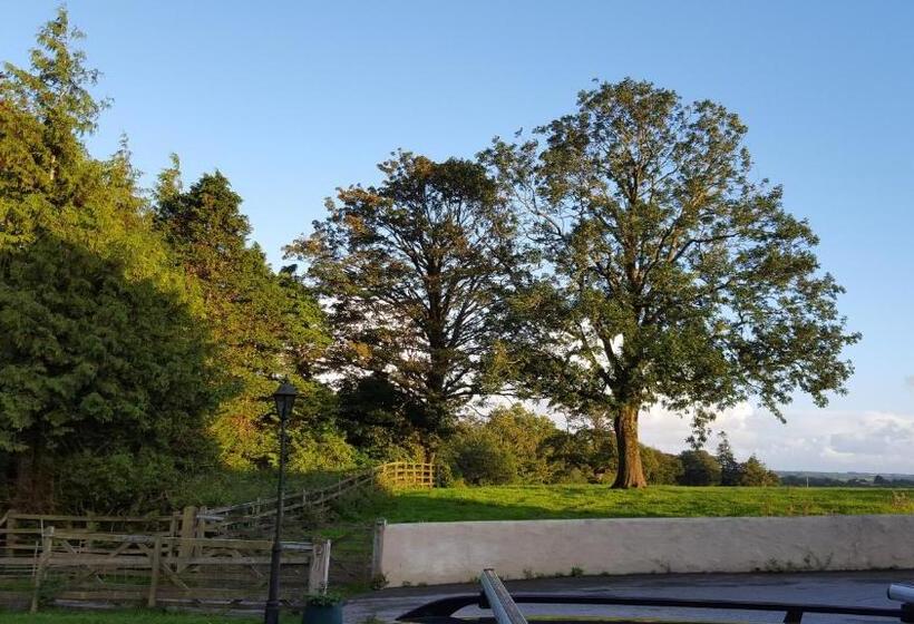 住宿加早餐 Llety Cynin