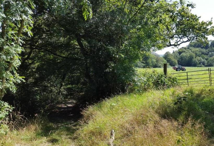 住宿加早餐 Llety Cynin