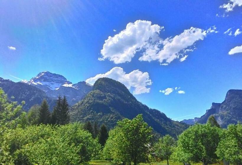 Bed and Breakfast Pension Wildental