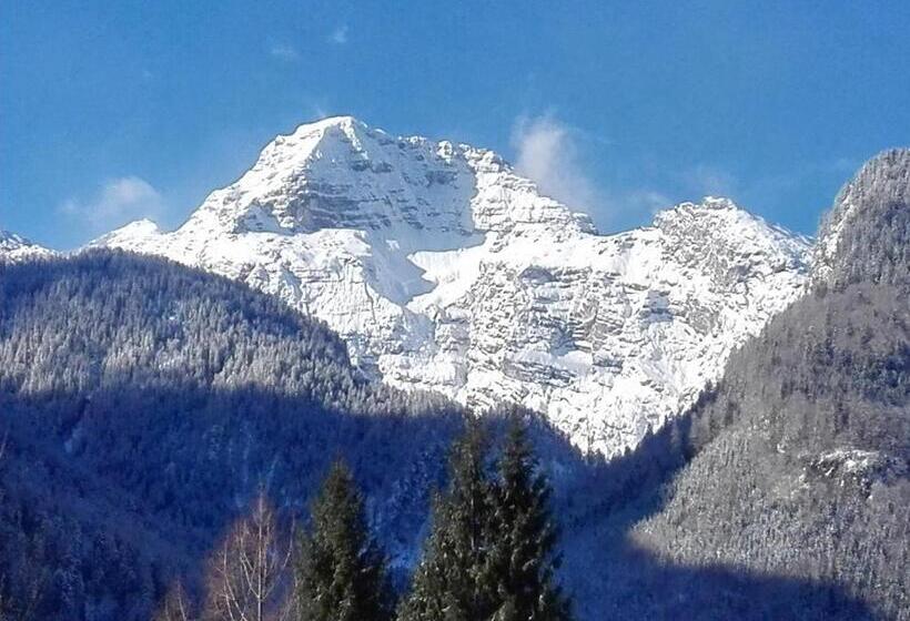 Bed and Breakfast Pension Wildental