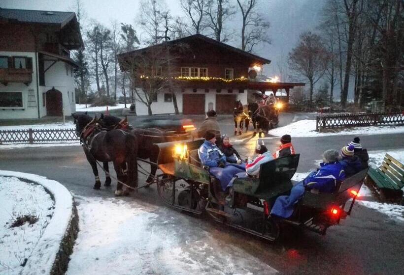 Bed and Breakfast Pension Wildental