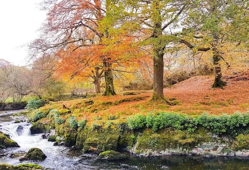 مبيت وإفطار The Firecat Country House Guesthouse