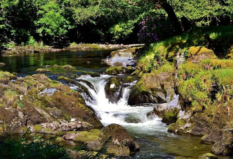 مبيت وإفطار The Firecat Country House Guesthouse