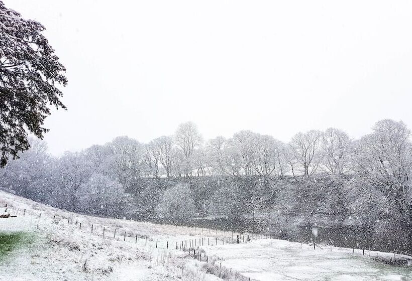 مبيت وإفطار The Firecat Country House Guesthouse