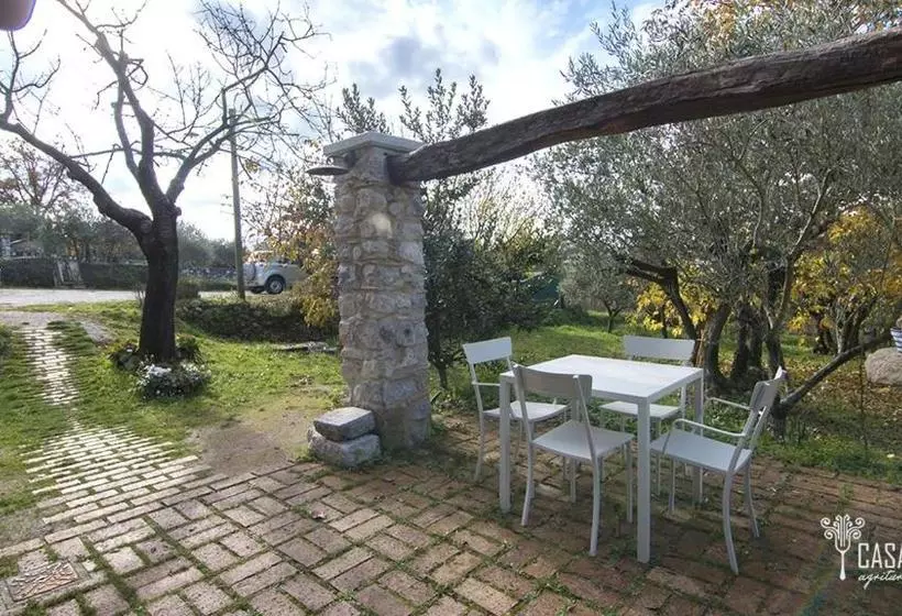 ホテル Casa Cauli Agriturismo