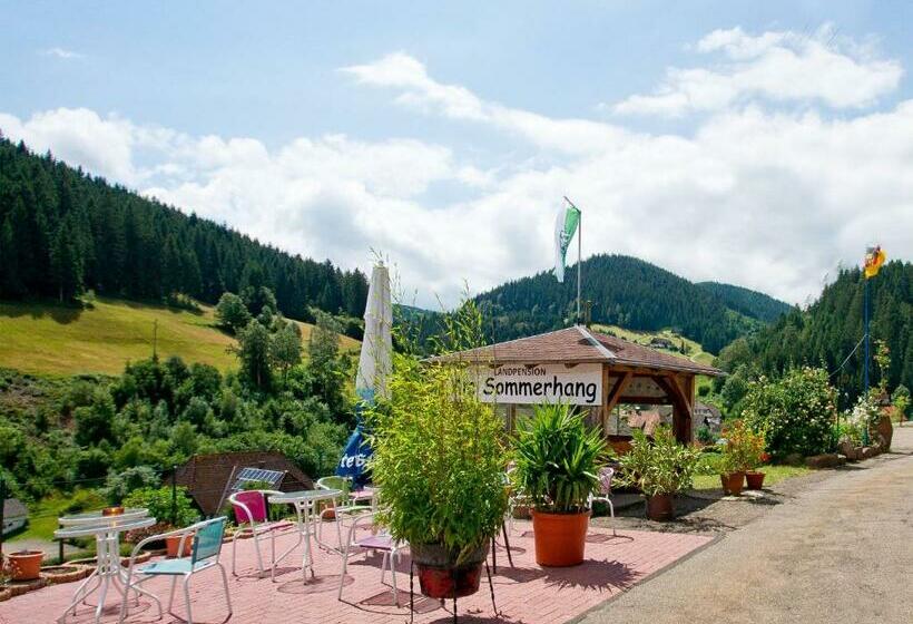Landpension Am Sommerhang