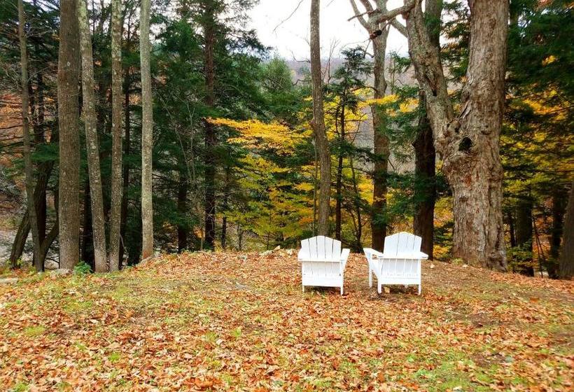 모텔 Black Bear Lodge