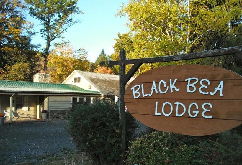 모텔 Black Bear Lodge
