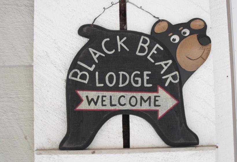 모텔 Black Bear Lodge