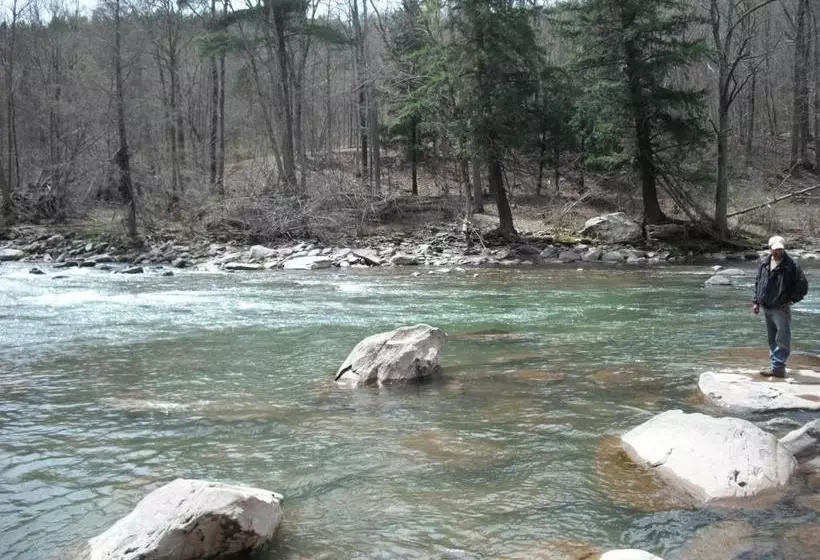 Motelli Black Bear Lodge