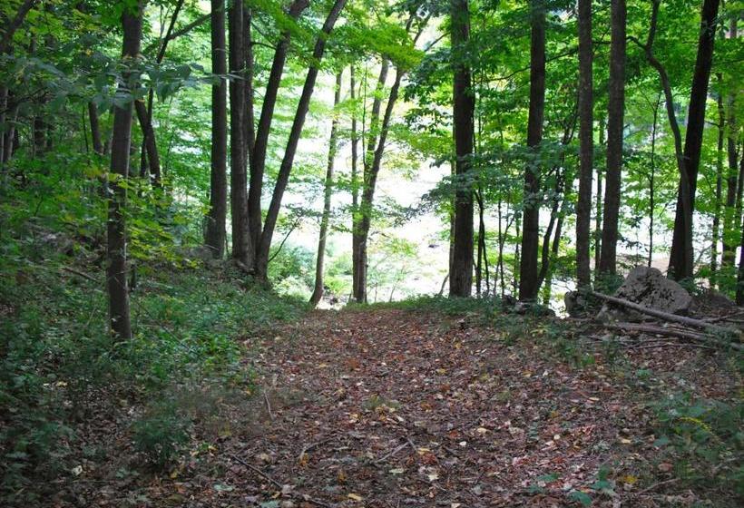 모텔 Black Bear Lodge