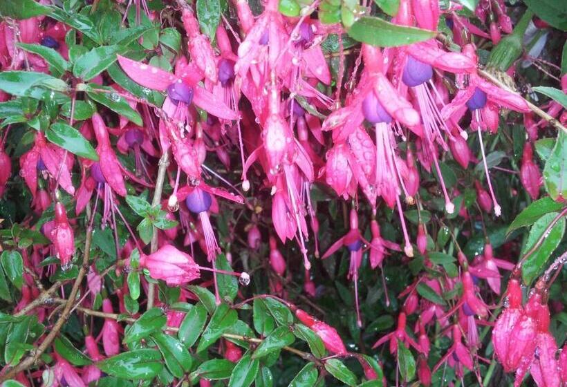 بنسيون Casa Do Escoivo