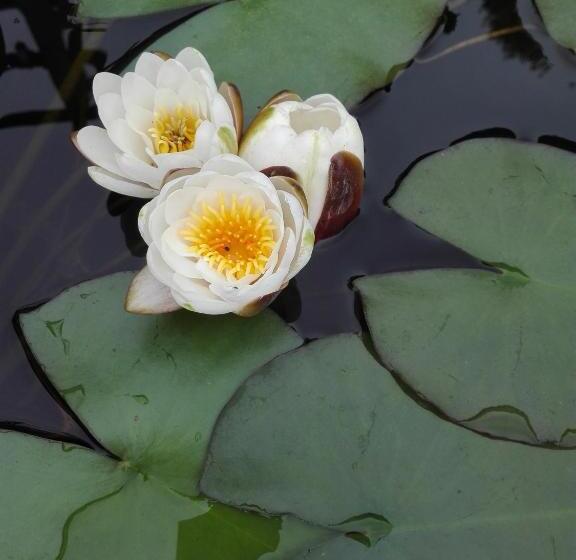 بنسيون Casa Do Escoivo