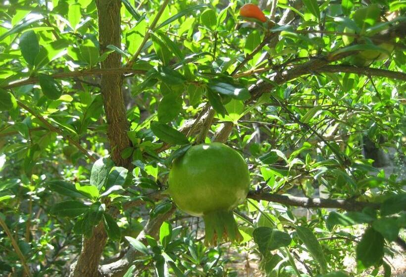 بنسيون Casa Do Escoivo