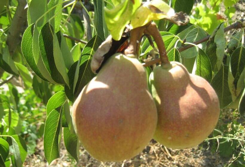 بنسيون Casa Do Escoivo