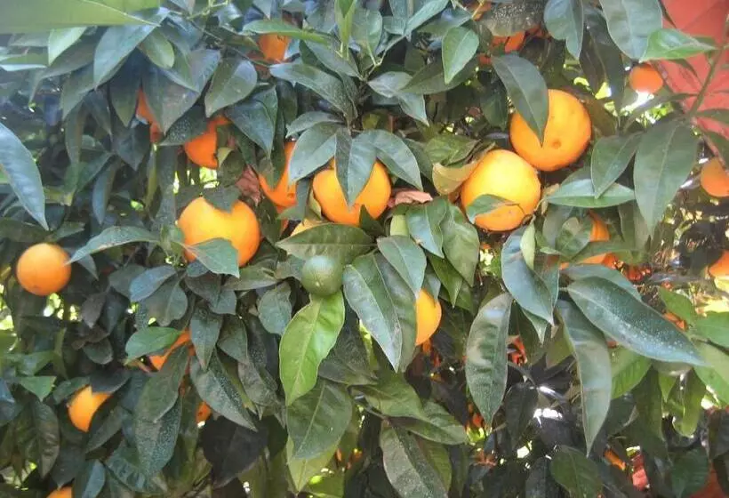 Majatalo Casa Do Escoivo